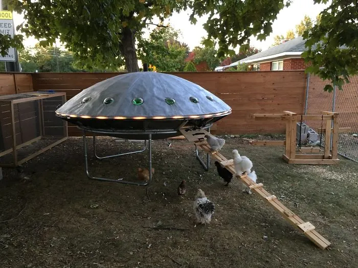 30 Times People Got Creative With Their Chicken Coops And Built These Gems