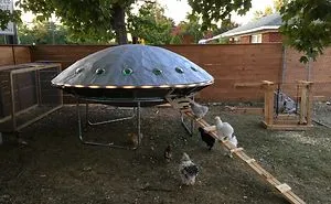 30 Times People Got Creative With Their Chicken Coops And Built These Gems