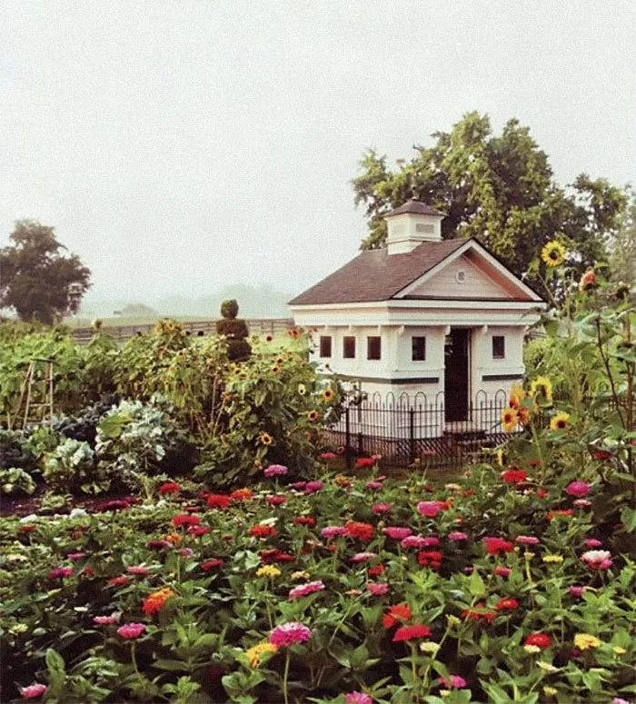 30 Times People Got Creative With Their Chicken Coops And Built These Gems