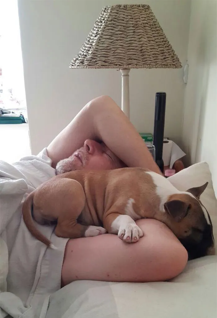 "Nunca dejaré que se suba un perro a mi coche o a mi cama"