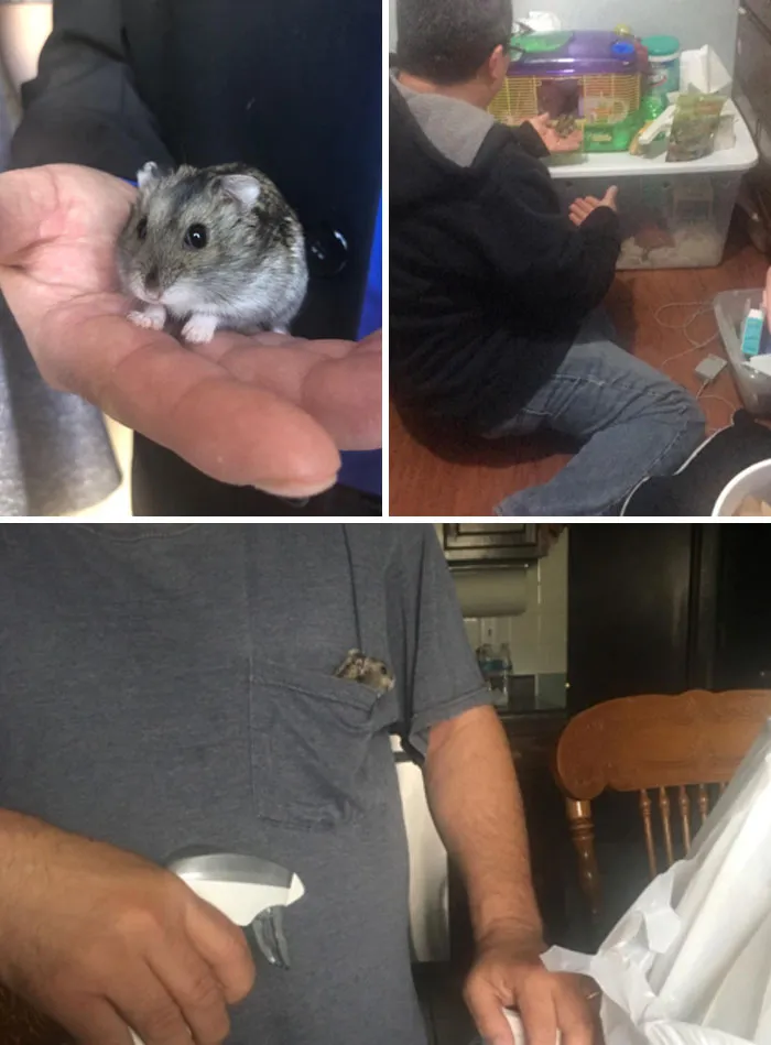 Mi padre dice que no le gustan los animales, y Hammie tampoco