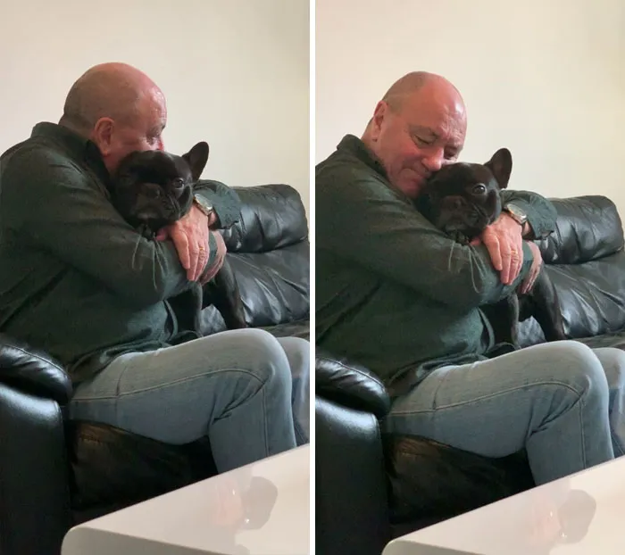 Os presento a mi padre que no quería otro perro