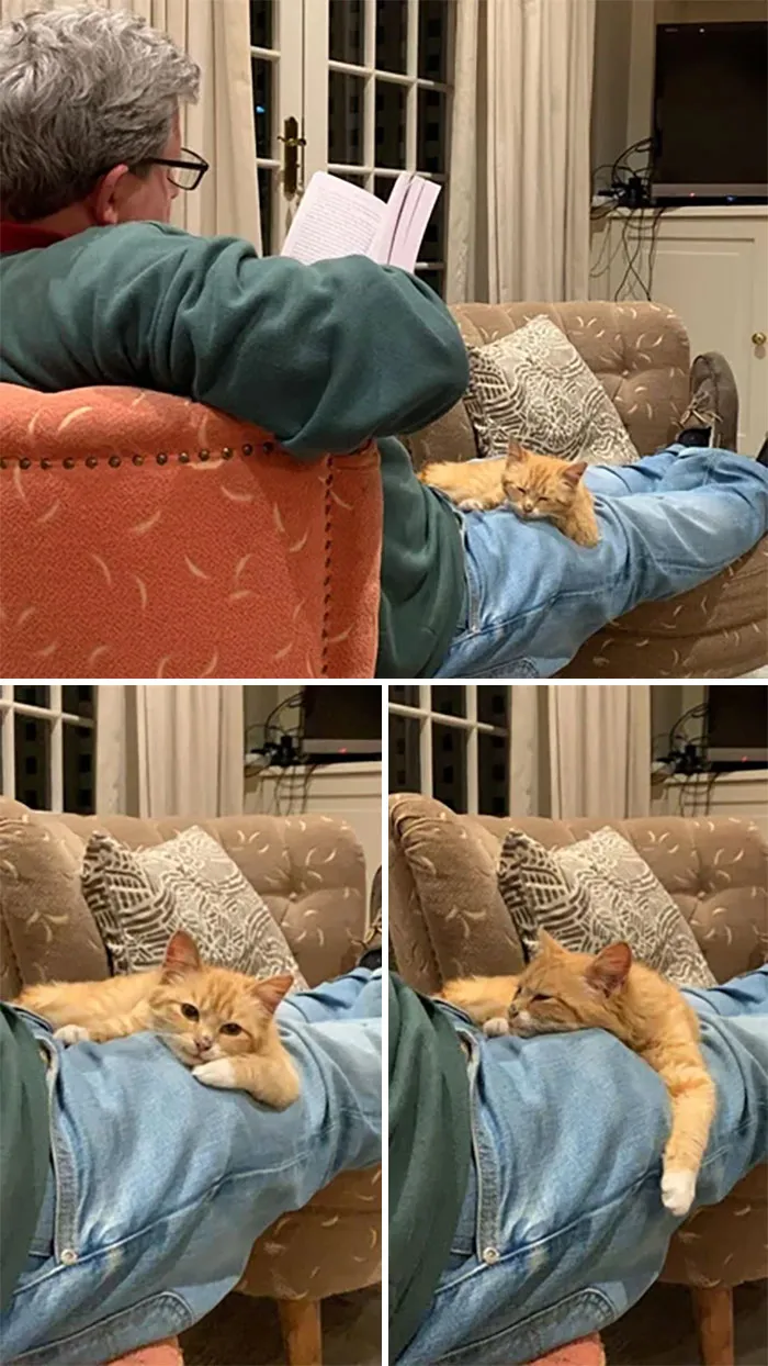 "No nos vamos a quedar al gato", pero luego se hicieron amigos y es al que más quiere