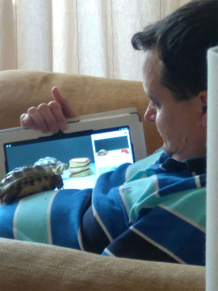 Mi padre: "si traéis una tortuga, no la voy a cuidar". Mi padre ahora: "Mira Hector, fotos de cuando eras pequeño"