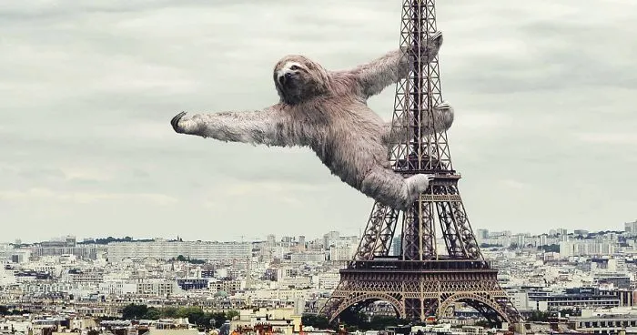 Digital Artists Photoshopped Oversized Animals And The Result Might Give You Nightmares (110 Pics)
