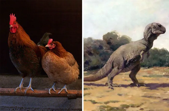 People Are Sharing Mind-Blowing Facts Fit For 5-Year-Olds And Here's 30 Of The Most Interesting Ones
