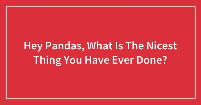 Hey Pandas, What Is The Nicest Thing You Have Ever Done? (Closed)