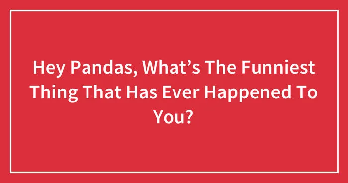 Hey Pandas, What’s The Funniest Thing That Has Ever Happened To You? (Ended)
