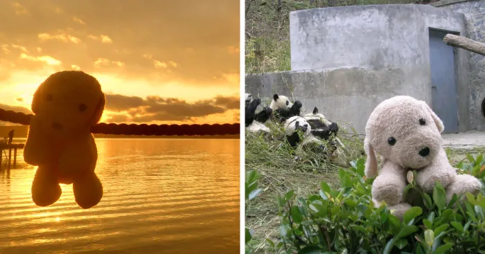 10 New Pictures Of My Cute Stuffed Dog Exploring The World