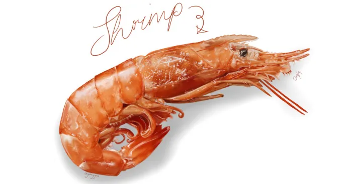 Amateur Artist In London Spends Covid-19 Lockdown Illustrating Incredibly Realistic Food And It Will Make You Drool [13 Pics]