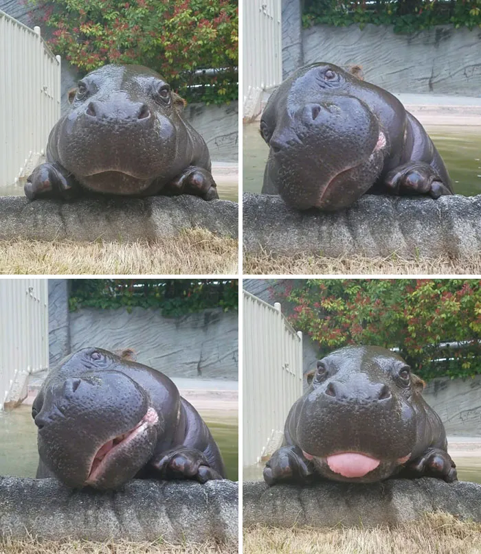 Big Derp. Huge