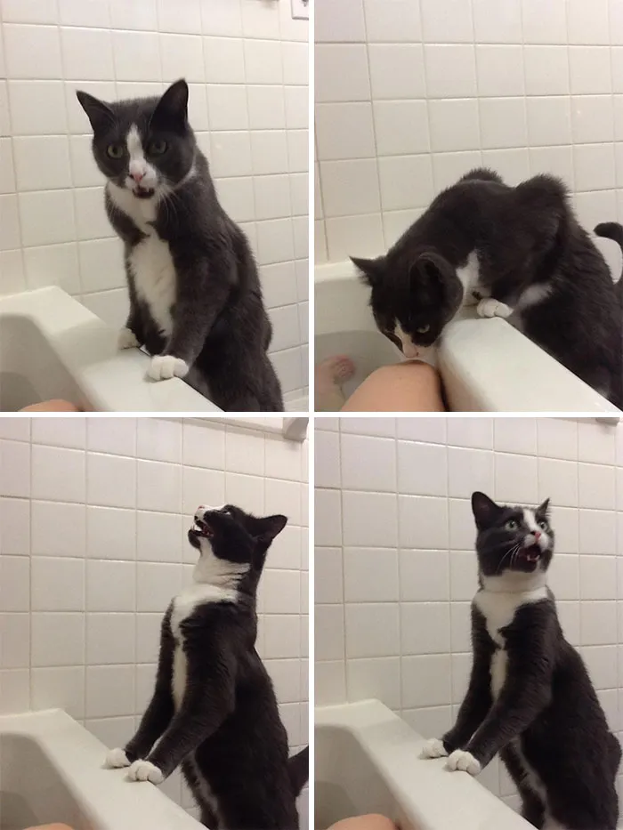 Hora del baño