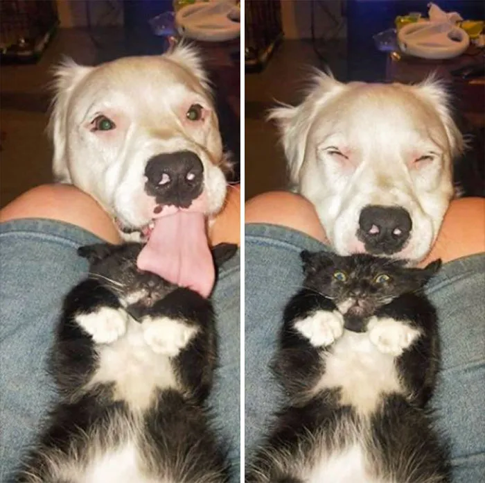 She Has No Idea What Just Slapped Her In The Face