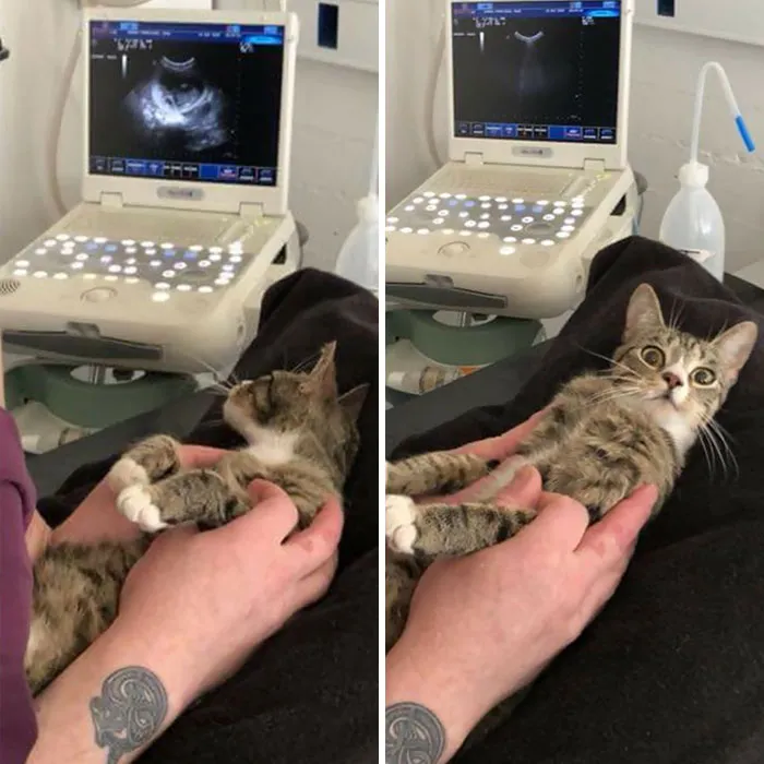 When You Find Out You're Pregnant