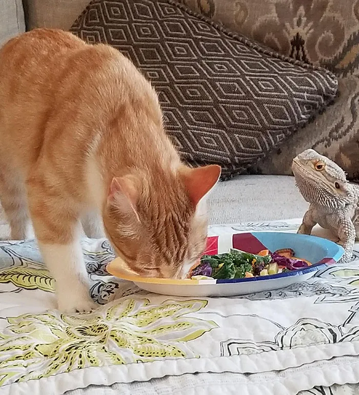 Eating Lunch Together