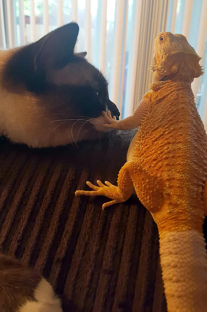 Shhhh... 