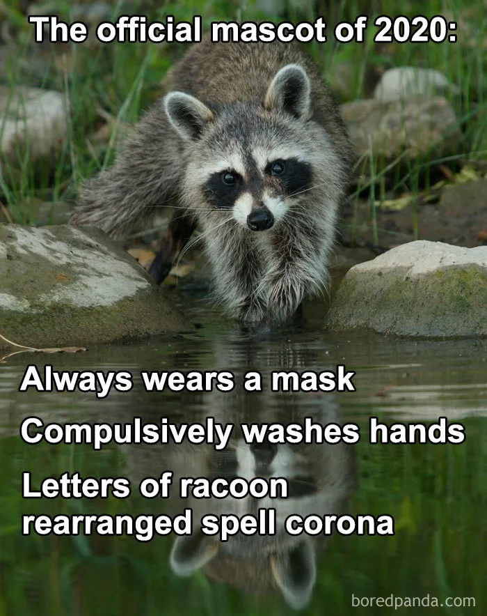40 Of The Freshest Jokes About The Pandemic To Make You Laugh Or Cry (New Pics)