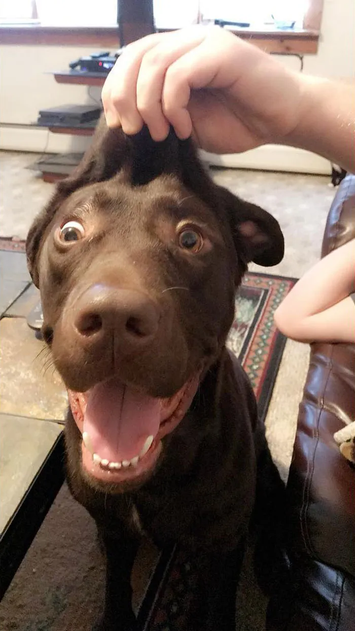 He’s A Special Kind Of Special