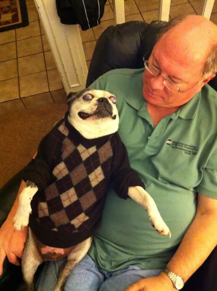 Accidentally Shrunk My Sweater While Doing Laundry