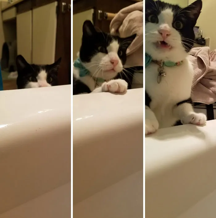 Le preocupa quién le dará de comer si me ahogo en la bañera