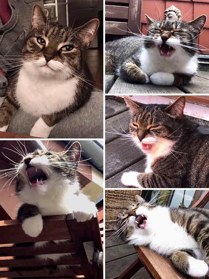 Cuando le digo que tiene que irse del balcón