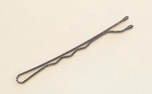 Woman Is On A Mission To Trade A Bobby Pin Until She Gets A House, And Here Are Her Trades So Far