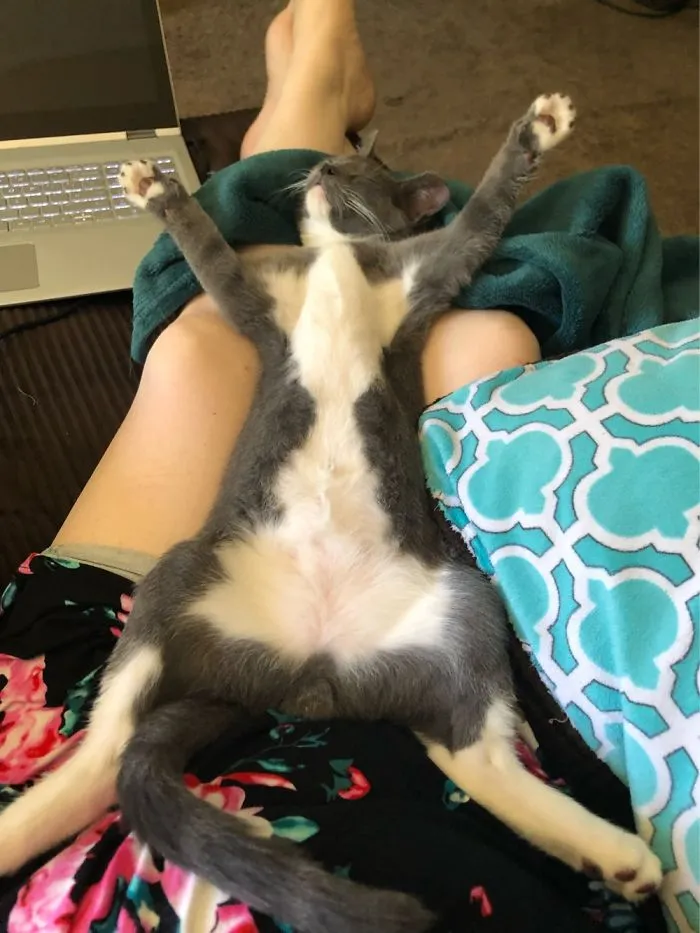 1 Hour After We Brought Wesley Home. Almost A Year Later And It’s Still His Favorite Position