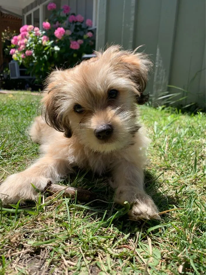 Caught My First Stick!