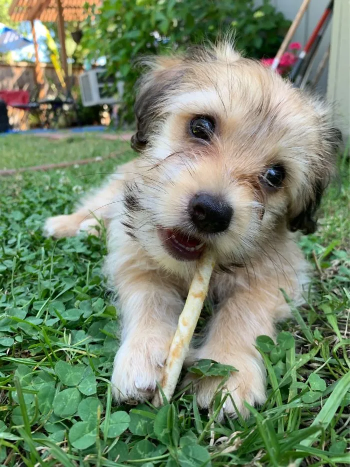 Teething!