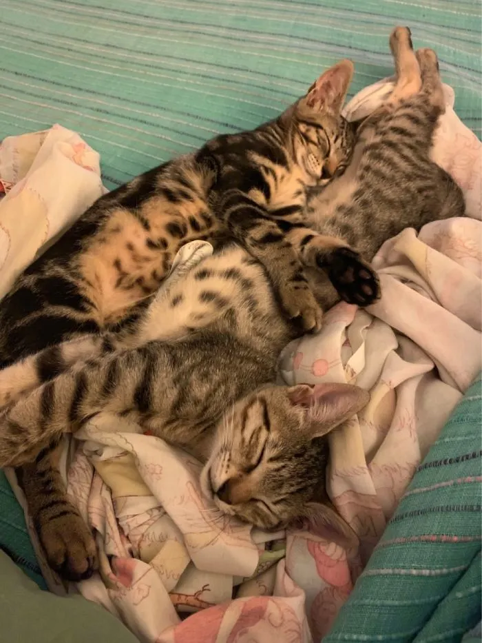 Sisters