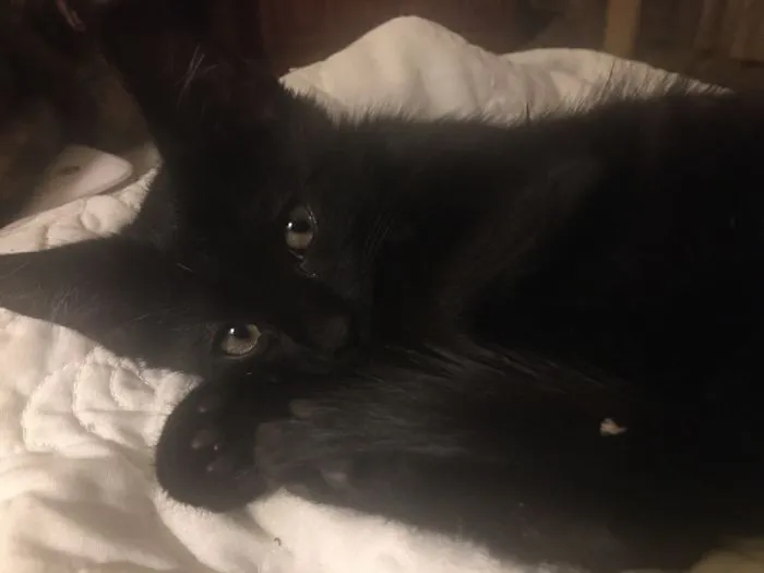 Our Newest Baby, Found Her On The Side Of The Road