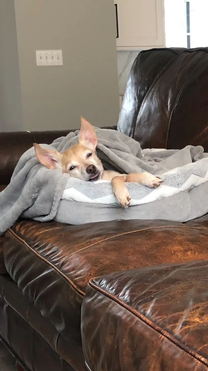 Molly.....without A Care In The World!