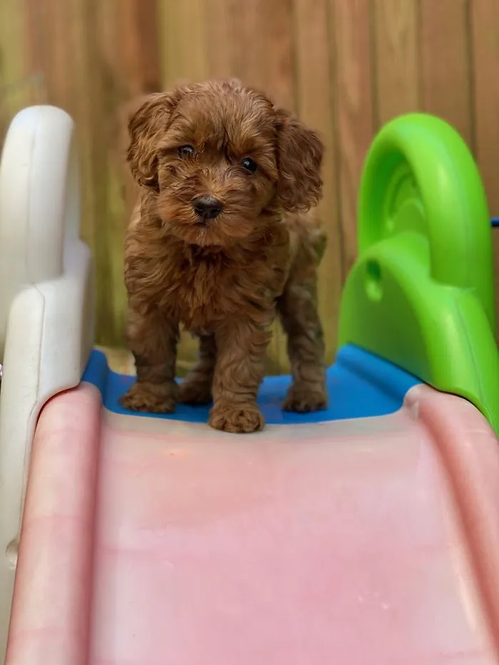 Tiny!