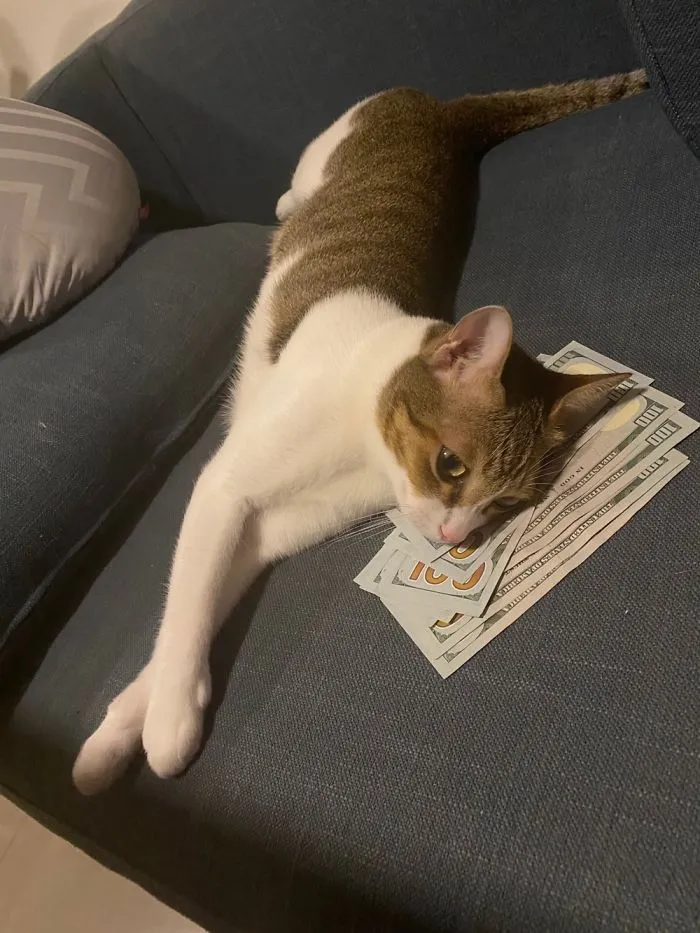 “Money Doesn’t Buy Happiness And Does Not Make A Good Pillow Either!”