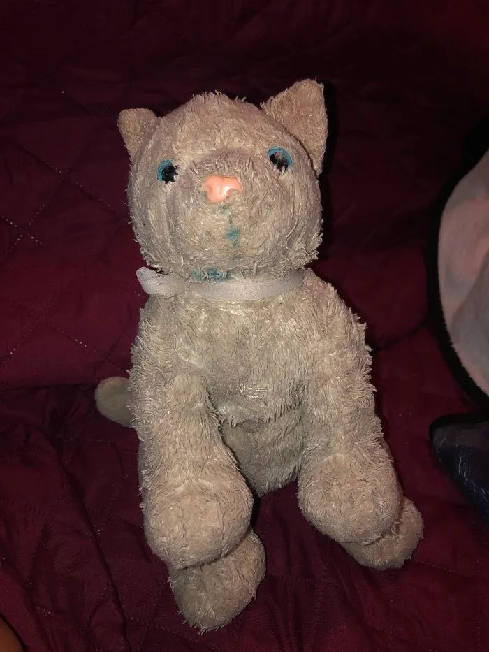 Grizzle,(Given When I Was Like 4) Has Had Multiple “Surgeries”