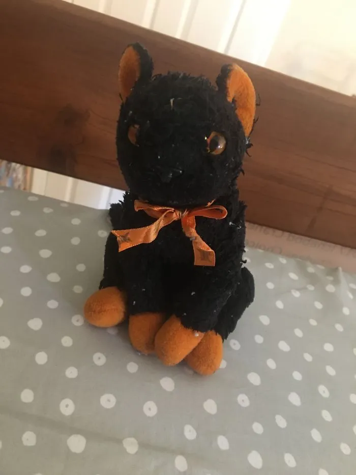 This Is Boo, He Was Given To Me By My Grandmother When I Was 6 Years Old, Her Soul Still Lives On With Him