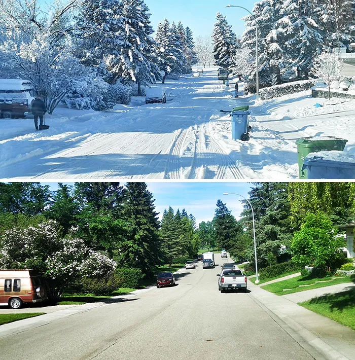 Misma calle canadiense, en el primer día de invierno y primer día de verano