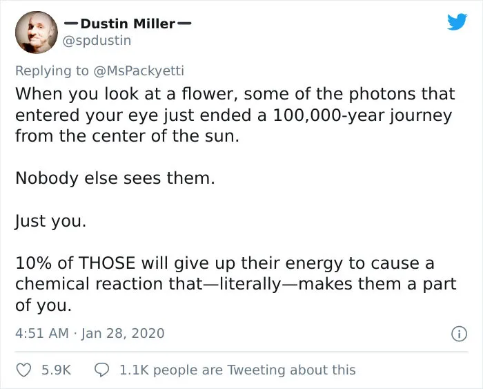 30 Random Things Twitter Told Us That We Should Have Learned In School