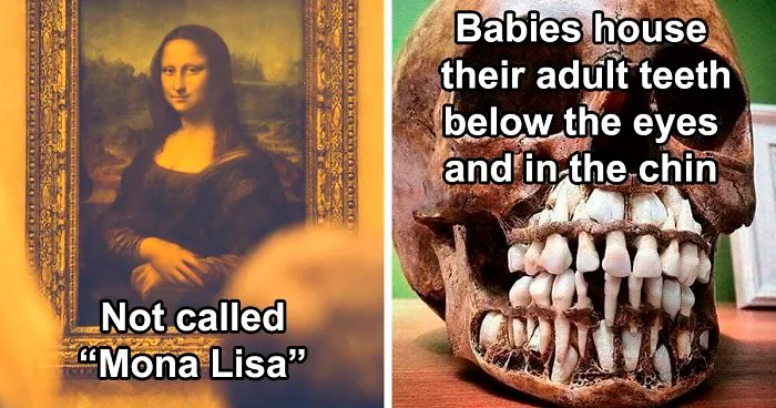 30 Random Things Twitter Told Us That We Should Have Learned In School