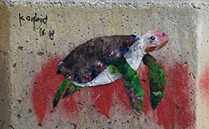 My Wildlife Collage Animation Project 'Kaybid' (24 Pics)