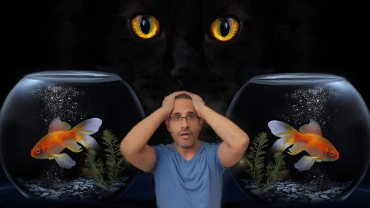 Omg! My Hungry Cat Is After Me!