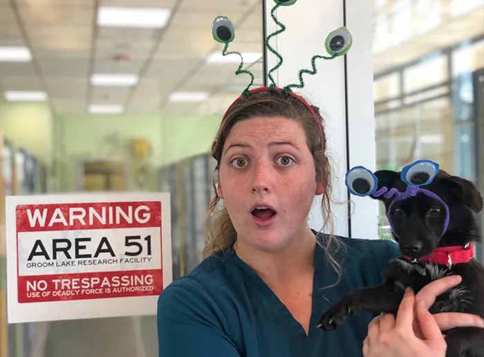 Last Year, This Animal Shelter In Texas Shared 15 Photos Of Adorable 'Aliens' To Boost Their Visibility And Encourage People To Adopt