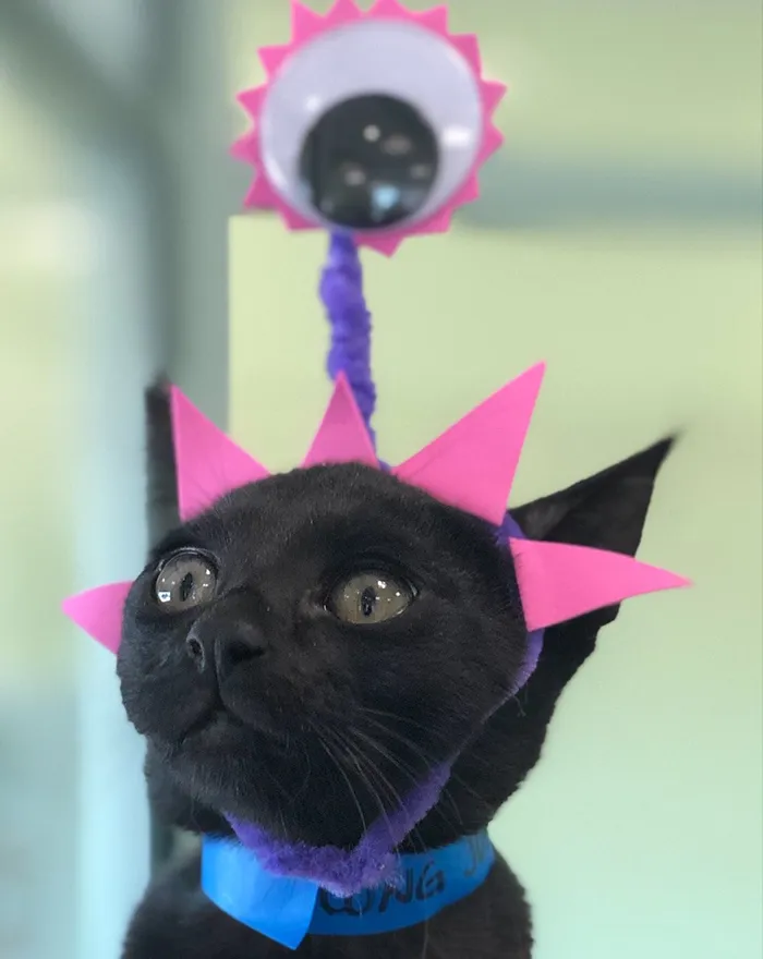 Last Year, This Animal Shelter In Texas Shared 15 Photos Of Adorable 'Aliens' To Boost Their Visibility And Encourage People To Adopt