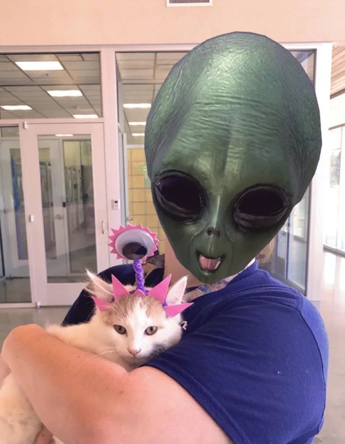 Last Year, This Animal Shelter In Texas Shared 15 Photos Of Adorable 'Aliens' To Boost Their Visibility And Encourage People To Adopt