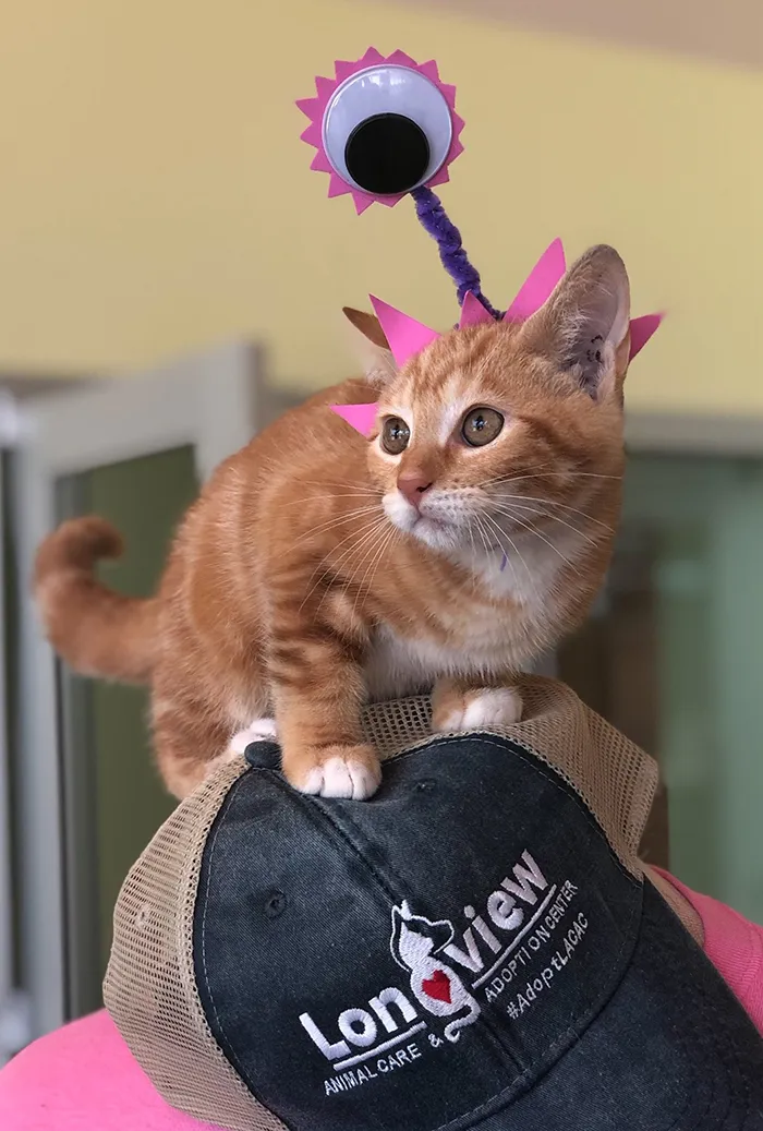 Last Year, This Animal Shelter In Texas Shared 15 Photos Of Adorable 'Aliens' To Boost Their Visibility And Encourage People To Adopt