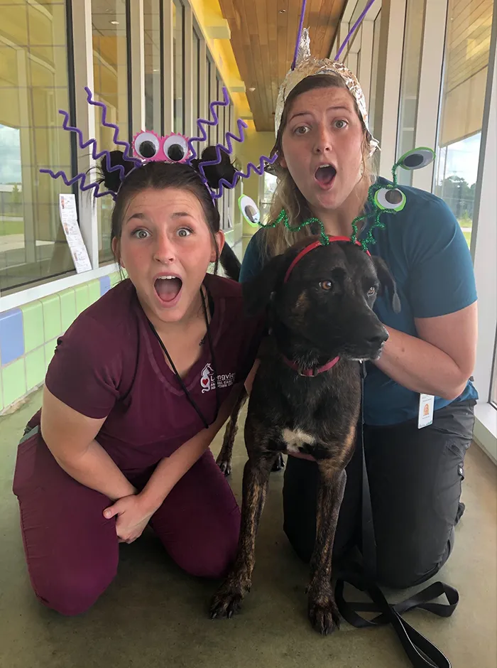 Last Year, This Animal Shelter In Texas Shared 15 Photos Of Adorable 'Aliens' To Boost Their Visibility And Encourage People To Adopt