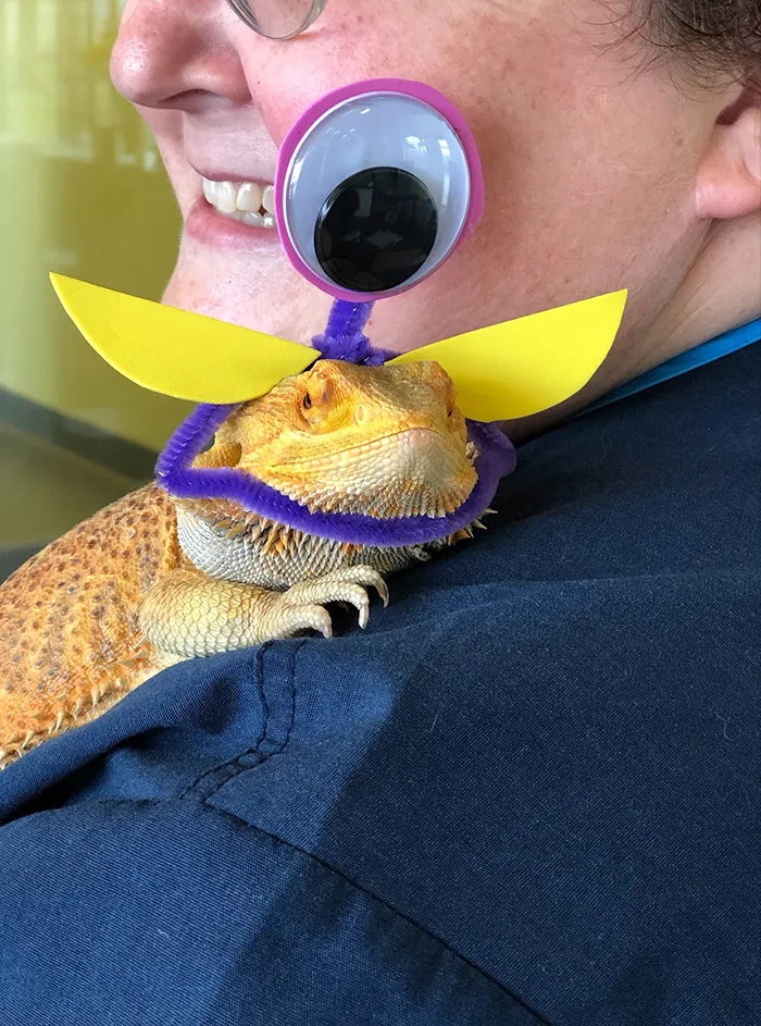 Last Year, This Animal Shelter In Texas Shared 15 Photos Of Adorable 'Aliens' To Boost Their Visibility And Encourage People To Adopt
