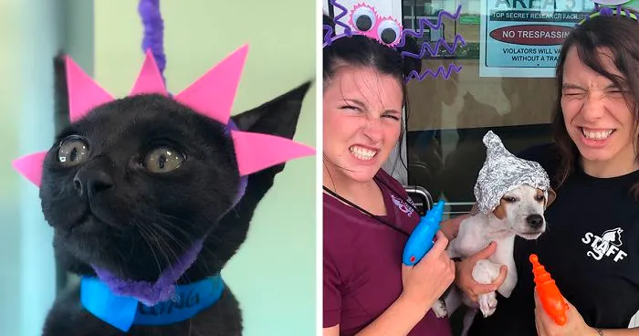 Last Year, This Animal Shelter In Texas Shared 15 Photos Of Adorable 'Aliens' To Boost Their Visibility And Encourage People To Adopt