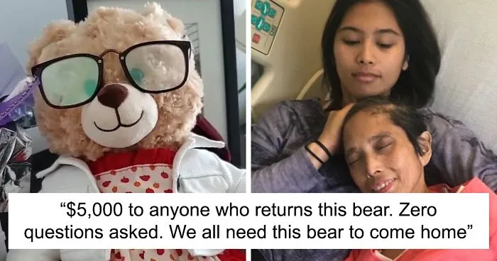 Someone Stole This Woman’s Teddy Bear That Had Her Late Mother’s Voice Recording On It, Ryan Reynolds And Other People Online Step In To Help Find It (Updated)