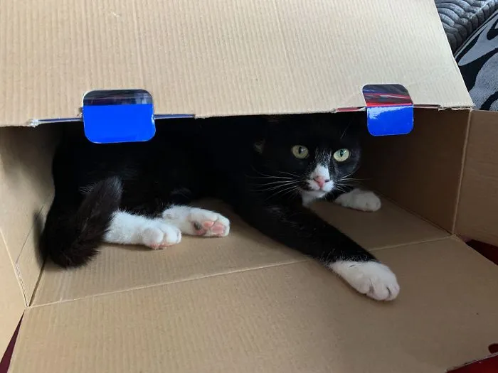 If I Sits, It Fits